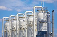 Центрально-европейский газовый хаб в Баумгартене1